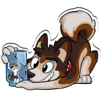 Huscoon by Tirrel