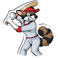 Huscoon by Tirrel