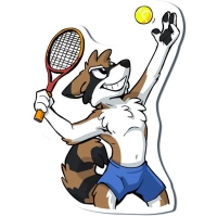 Huscoon by Tirrel