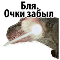 Ибица