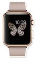 Apple Devices