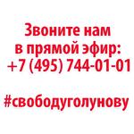 Мы Иван Голунов