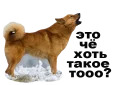 Простоотвратительно