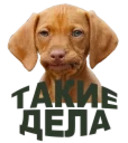 Простоотвратительно