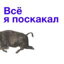Kabanchikom
