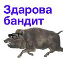 Kabanchikom