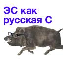 Kabanchikom