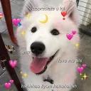 Kawaii_Kawaii @IMG2D