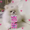 Kawaii_Kawaii @IMG2D