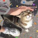 Kawaii_Kawaii @IMG2D