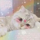 Kawaii_Kawaii @IMG2D
