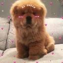 Kawaii_Kawaii @IMG2D