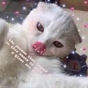 Kawaii_Kawaii @IMG2D