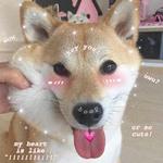 Kawaii_Kawaii @IMG2D