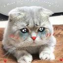 Kawaii_Kawaii @IMG2D