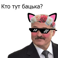 Кавайные и няшные политики