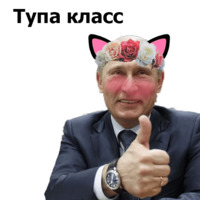 Кавайные и няшные политики