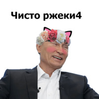 Кавайные и няшные политики