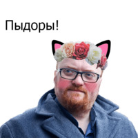 Кавайные и няшные политики