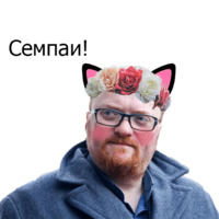 Кавайные и няшные политики