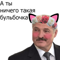 Кавайные и няшные политики