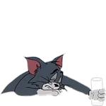 DSP22