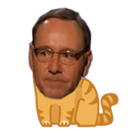 Кевин Спейси  — кот