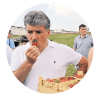 Клубничный король
