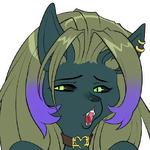 Kitty