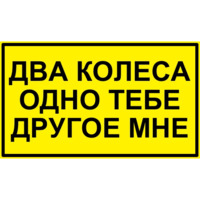 Грибы