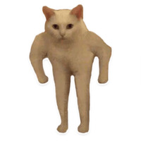 Коти