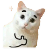 Коти