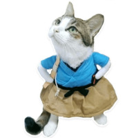 Коти