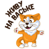 Рыжий котик