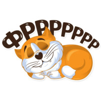 Рыжий котик