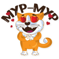 Рыжий котик
