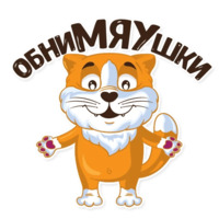 Рыжий котик