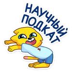 Классный Кот :: @stickroom