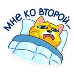 Классный Кот :: @stickroom