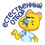 Классный Кот :: @stickroom