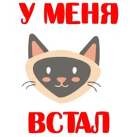 Кошкостикеры