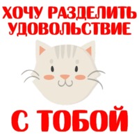 Кошкостикеры