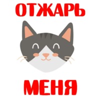 Кошкостикеры