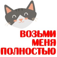 Кошкостикеры