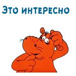 @animesticks :: Котенок с улицы Лизюкова