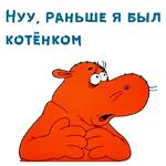 @animesticks :: Котенок с улицы Лизюкова