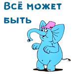 @animesticks :: Котенок с улицы Лизюкова