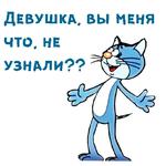 @animesticks :: Котенок с улицы Лизюкова