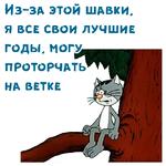@animesticks :: Котенок с улицы Лизюкова