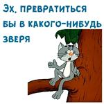 @animesticks :: Котенок с улицы Лизюкова